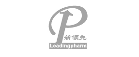 新領先